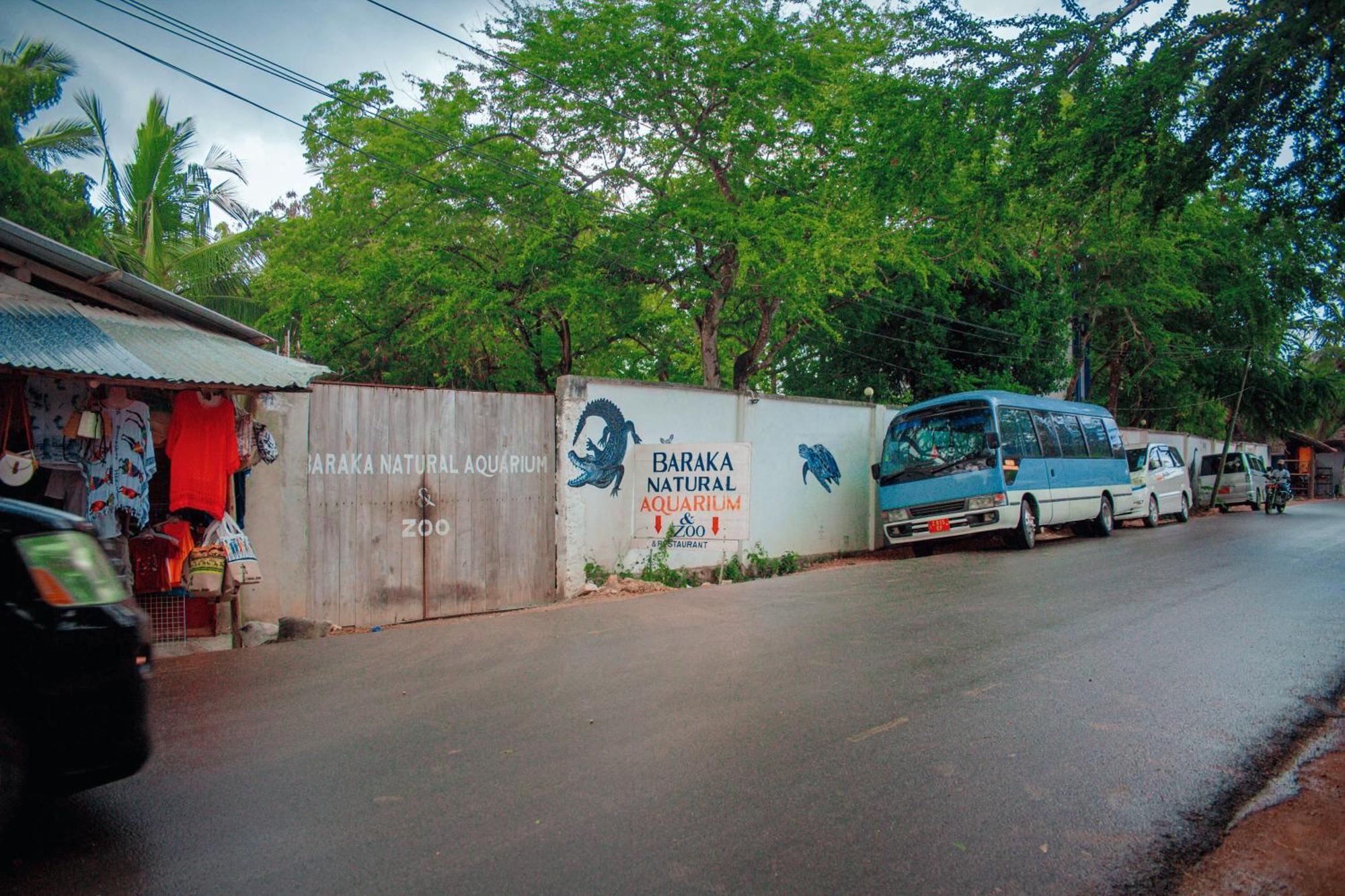 Mwana House Bed & Breakfast Nungwi Exterior photo